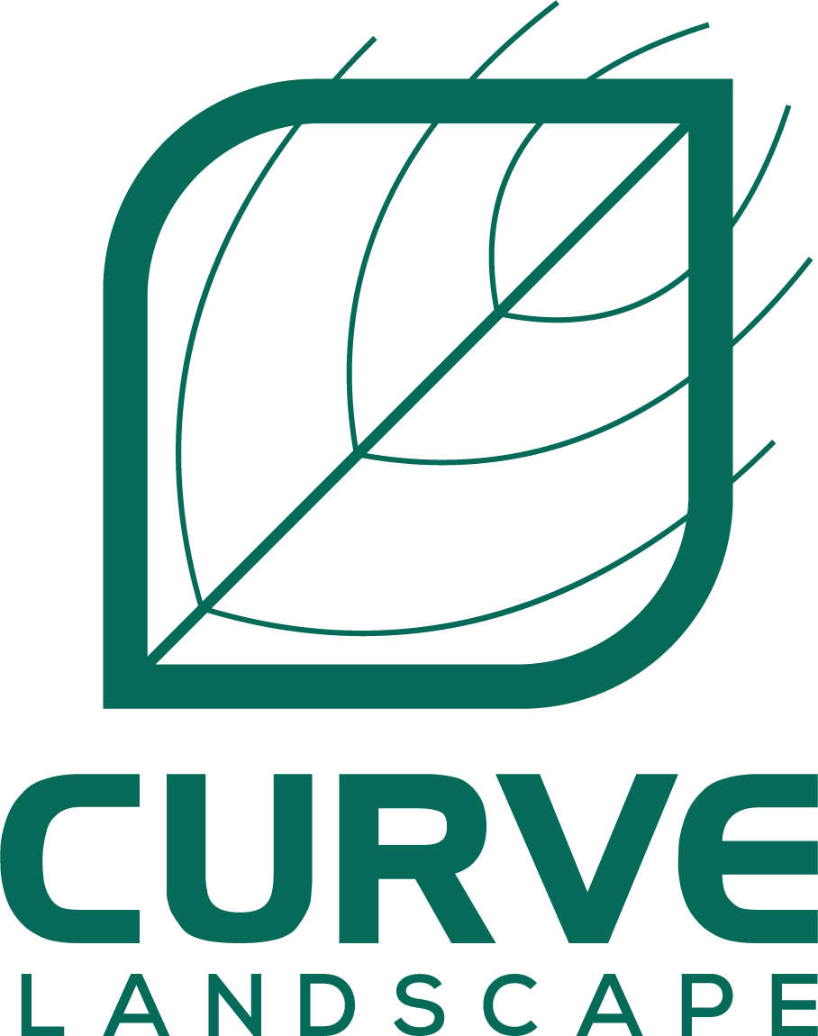 CURVE Landscape